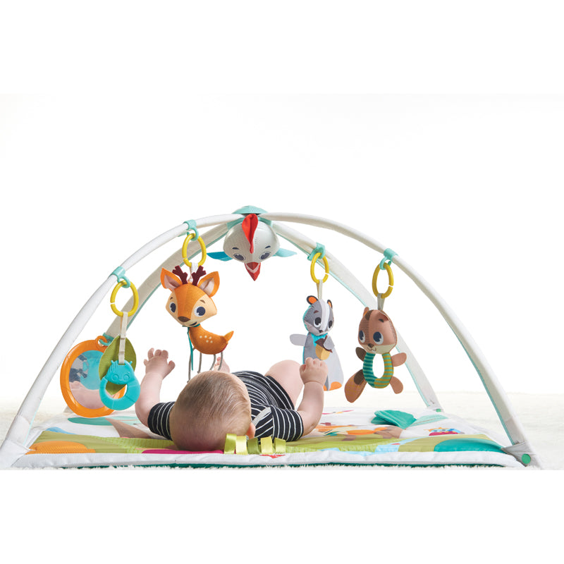Lakeside Lullabies | Baby Activity Gym | Baby Play Mat | Baby Gym