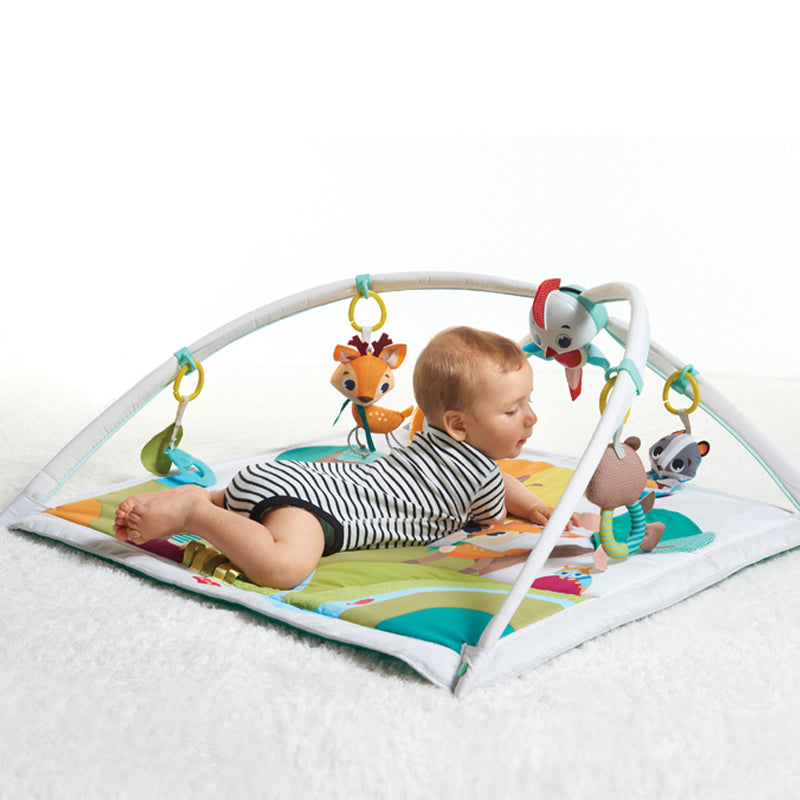 Lakeside Lullabies | Baby Activity Gym | Baby Play Mat | Baby Gym