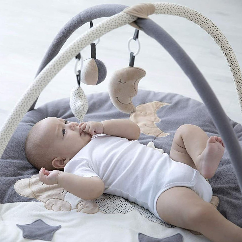 Sumptuously Super Soft & Padded Baby Play Gym with 6 Sensory Toys | Activity Playmat