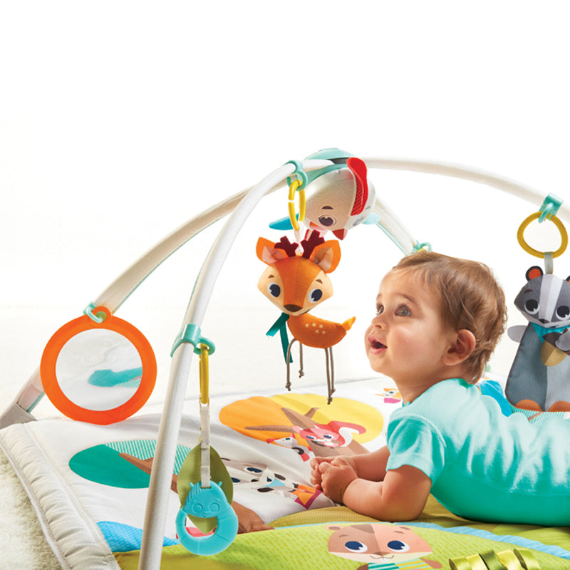 Lakeside Lullabies | Baby Activity Gym | Baby Play Mat | Baby Gym