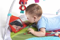 Woodland Wonders | Baby Activity Gym | Baby Play Mat | Baby Gym